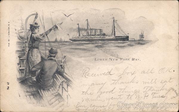 Lower New York Bay, People Waving to Ships New York City