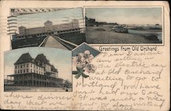 Greetings from Old Orchard Postcard