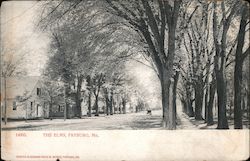 The ELms Postcard