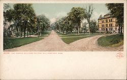 The Campus Williams College Postcard