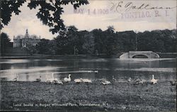 Lake Scene in Roger Williams Park Postcard