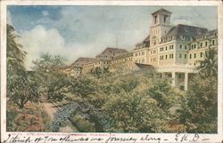 Hotel Royal Poinciana and Gardens Palm Beach, FL Postcard Postcard Postcard