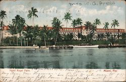 Hotel Royal Palm Miami, FL Postcard Postcard Postcard