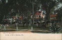 Residential Area Daytona Beach, FL Postcard Postcard Postcard