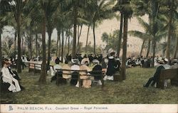 Cocoanut Grove - Royal Poinciana Palm Beach, FL Postcard Postcard Postcard