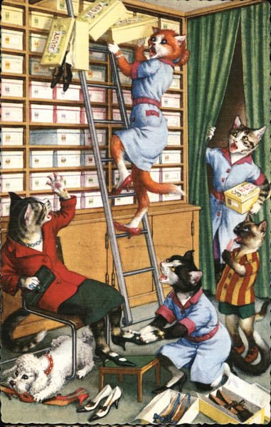 A Cat Calamity at the Shoe Store Cats