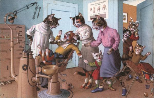 Cats at the Dentist