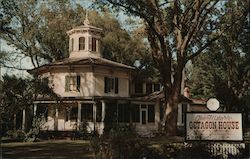 The Historic Octagon House Hudson, WI Postcard Postcard Postcard