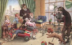Cats Having Their Picture Taken Postcard