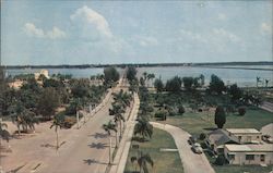 Bradenton, Florida Postcard
