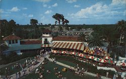 A View of the Beautiful Terrace Overlooking Cypress Gardens, Florida Postcard