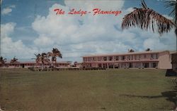 Flamingo Lodge Florida Postcard Postcard Postcard