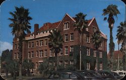 Newell Hall, University of Florida Postcard