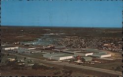 Florida Citrus Canners Cooperative Postcard