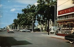 Magnolia Street, Looking North Postcard