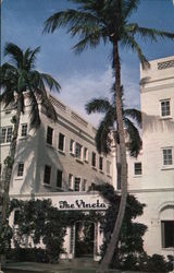 The Vineta Palm Beach, FL Postcard Postcard Postcard