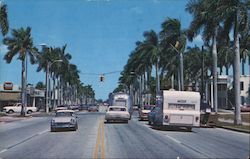 Krome Avenue Postcard