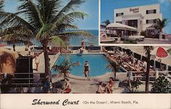 Sherwood Court- On the Ocean- 18275 Collins Ave Miami Beach, FL Postcard Postcard 