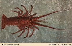 A & B Lobster House 700 Front St., Key West, Fla. Postcard