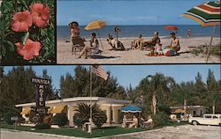 The Panasea Motel & Apts. "On the Beautiful Holiday Isles" St. Petersburg, FL Postcard Postcard Postcard