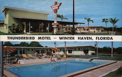 Thunderbird Motel - Winter Haven, Florida Postcard Postcard Postcard