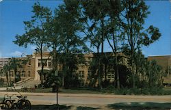 Florida Gymnasium, University of Florida Postcard