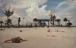 Beautiful Siesta Beach Postcard