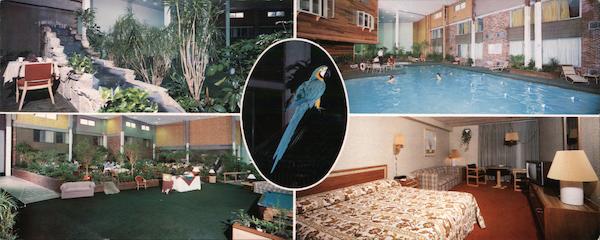 The Golden Fan Brunswick Maine