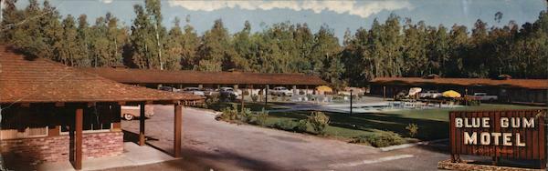 Blue Gum Motel Willows California