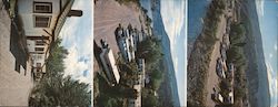 ASHCROFT MOTEL and TRAILER PARK Large Format Postcard
