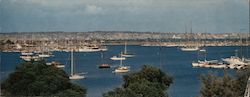San Diego Municipal Yacht Harbor Large Format Postcard