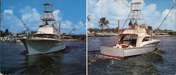 Yacht Pal's Charter Fishing Large Format Postcard