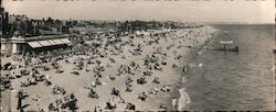 Beach and Sea Front to East Large Format Postcard