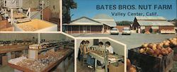 Bates Bros. Nut Farm Large Format Postcard