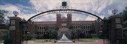 Florida State University Large Format Postcard