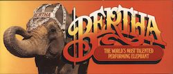 Bertha, The World's Most Talented Performing Elephant Large Format Postcard