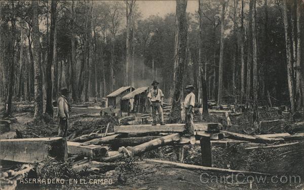 Aserradero En El Campo [Sawmill in the Field] Chile