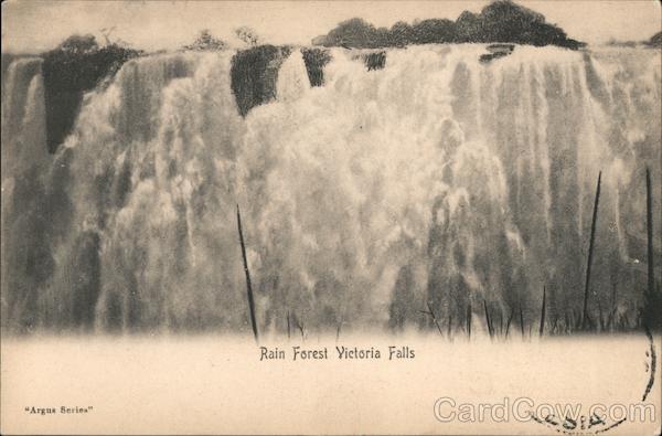 Rain forest Victoria Falls Zimbabwe Africa