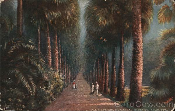 Palm Avenue, Botanica Garden, Calcutta Kolkata India