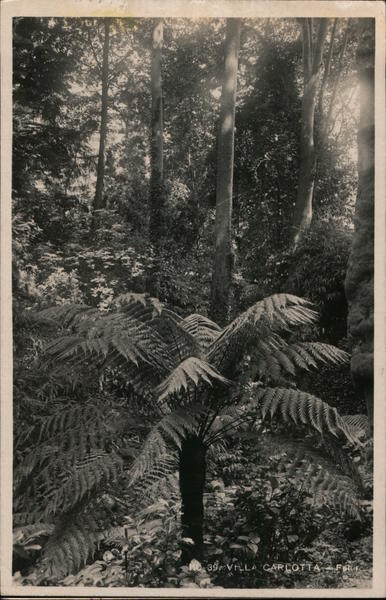 Villa Carlotta Italy