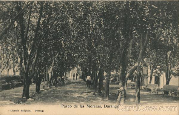 Paseo de las Moreras Durango Mexico