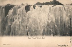 Rain forest Victoria Falls Postcard