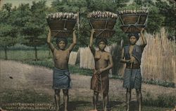 Igorote Women Carrying Sweet Potatoes Postcard