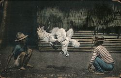 Men Watching Cock Fight Postcard