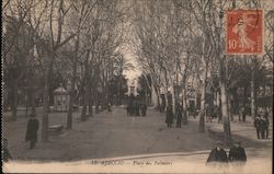 Ajaccio - Place des Palmiers Postcard