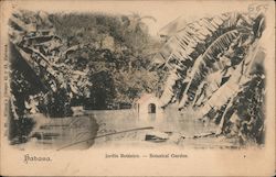 Havana Botanical Garden Postcard