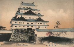 A Castle at Nagoya Postcard