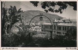 View of Town, Madeira Postcard