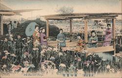 Iris Horikiri Tokyo Postcard