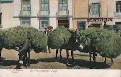 Stock #741323 Thumbnail